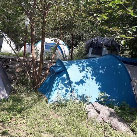 Kamp Seosko Domacinstvo Radman Ξενοδοχείο Χέρτσεγκ Νόβι Εξωτερικό φωτογραφία
