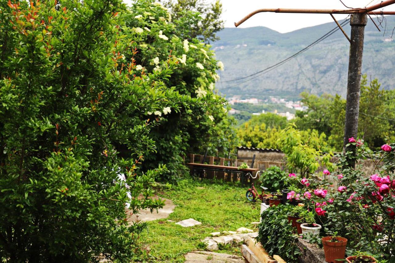 Kamp Seosko Domacinstvo Radman Ξενοδοχείο Χέρτσεγκ Νόβι Εξωτερικό φωτογραφία