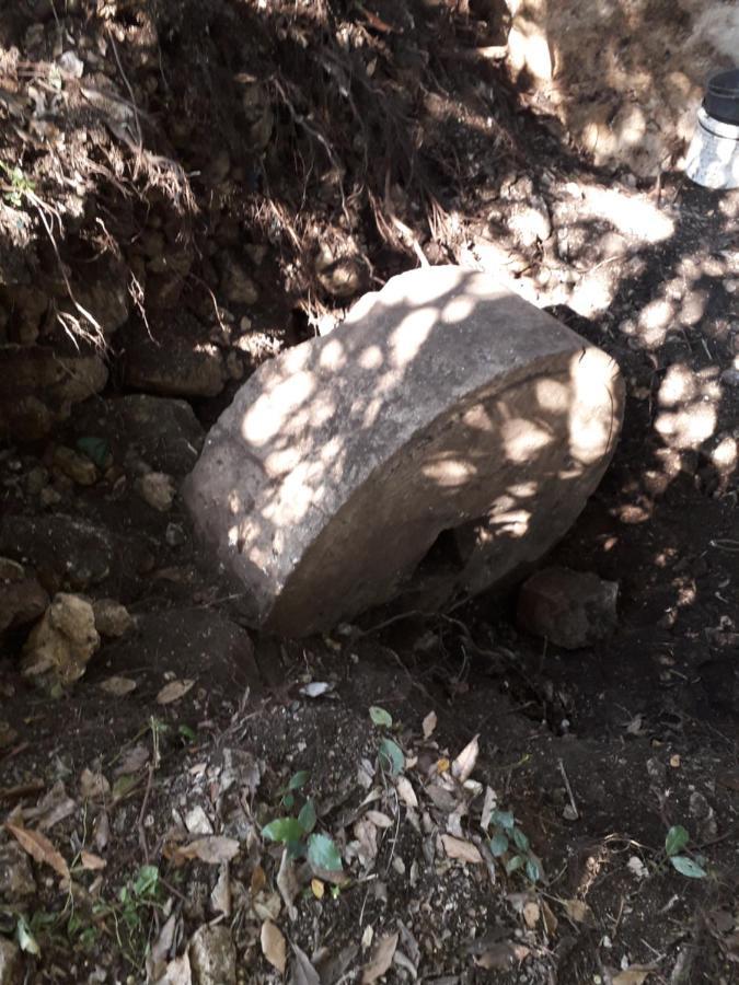 Kamp Seosko Domacinstvo Radman Ξενοδοχείο Χέρτσεγκ Νόβι Εξωτερικό φωτογραφία