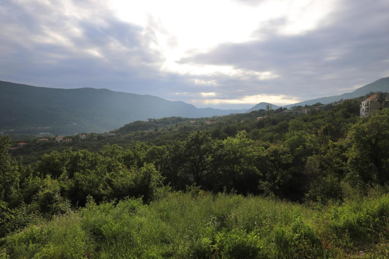 Kamp Seosko Domacinstvo Radman Ξενοδοχείο Χέρτσεγκ Νόβι Εξωτερικό φωτογραφία