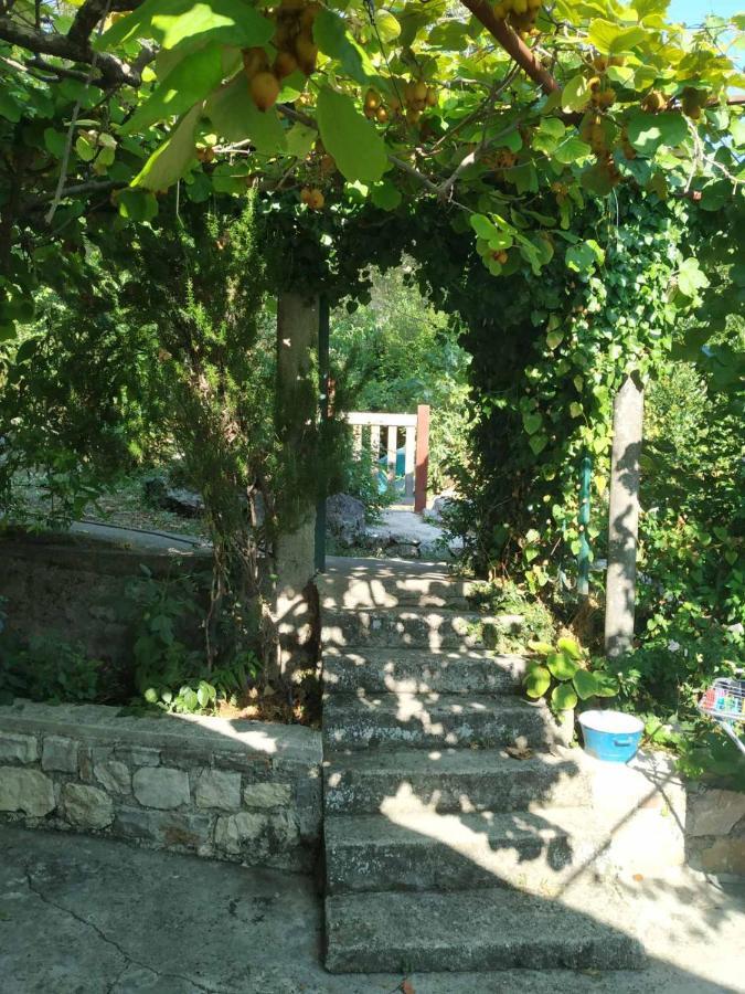 Kamp Seosko Domacinstvo Radman Ξενοδοχείο Χέρτσεγκ Νόβι Εξωτερικό φωτογραφία