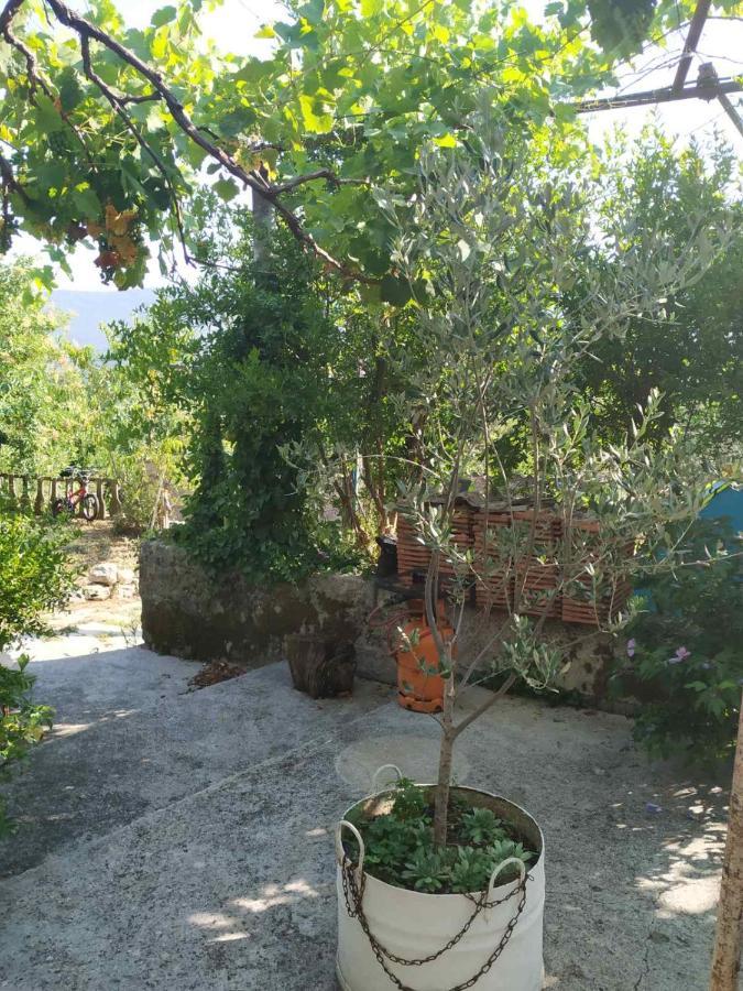 Kamp Seosko Domacinstvo Radman Ξενοδοχείο Χέρτσεγκ Νόβι Εξωτερικό φωτογραφία