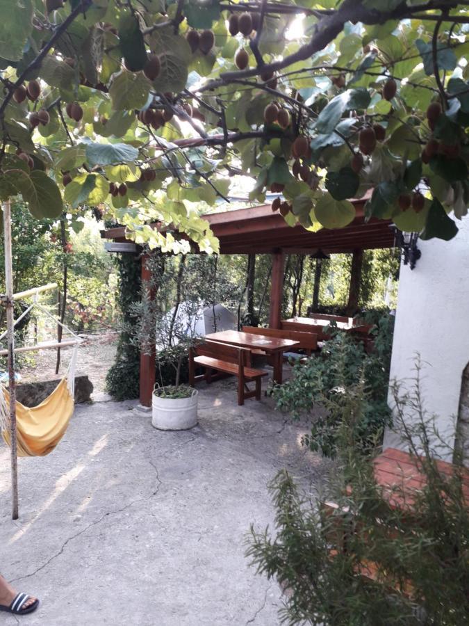 Kamp Seosko Domacinstvo Radman Ξενοδοχείο Χέρτσεγκ Νόβι Εξωτερικό φωτογραφία
