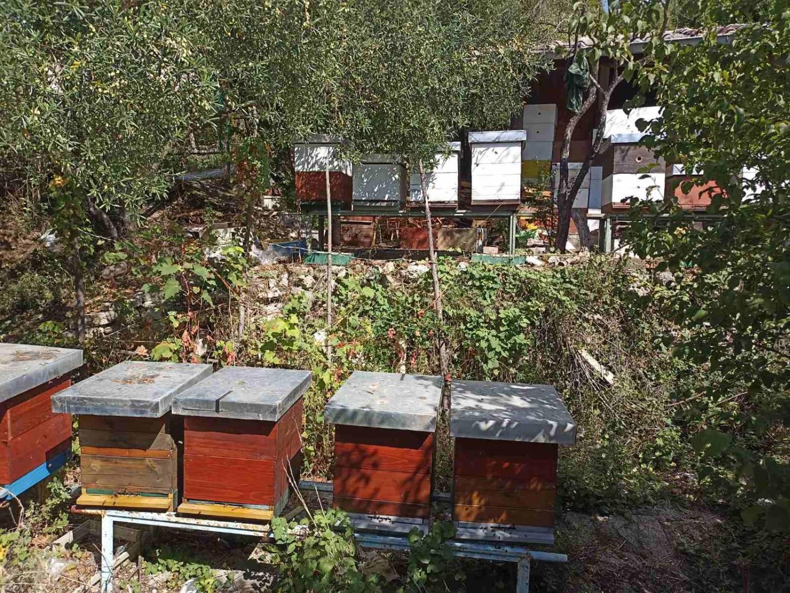 Kamp Seosko Domacinstvo Radman Ξενοδοχείο Χέρτσεγκ Νόβι Εξωτερικό φωτογραφία