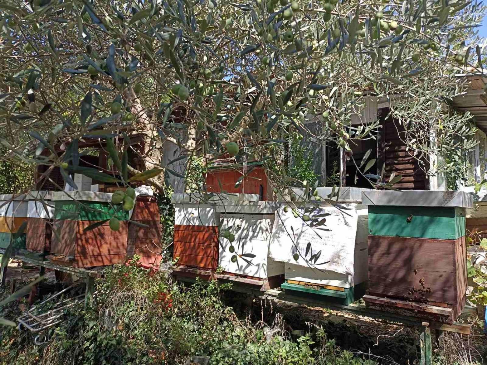 Kamp Seosko Domacinstvo Radman Ξενοδοχείο Χέρτσεγκ Νόβι Εξωτερικό φωτογραφία