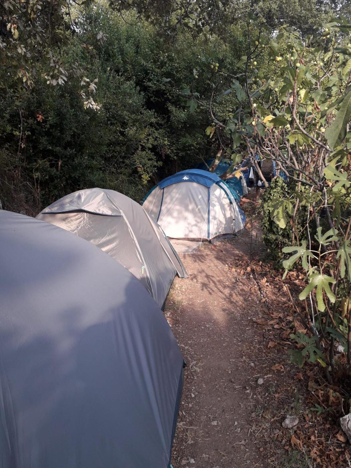Kamp Seosko Domacinstvo Radman Ξενοδοχείο Χέρτσεγκ Νόβι Εξωτερικό φωτογραφία