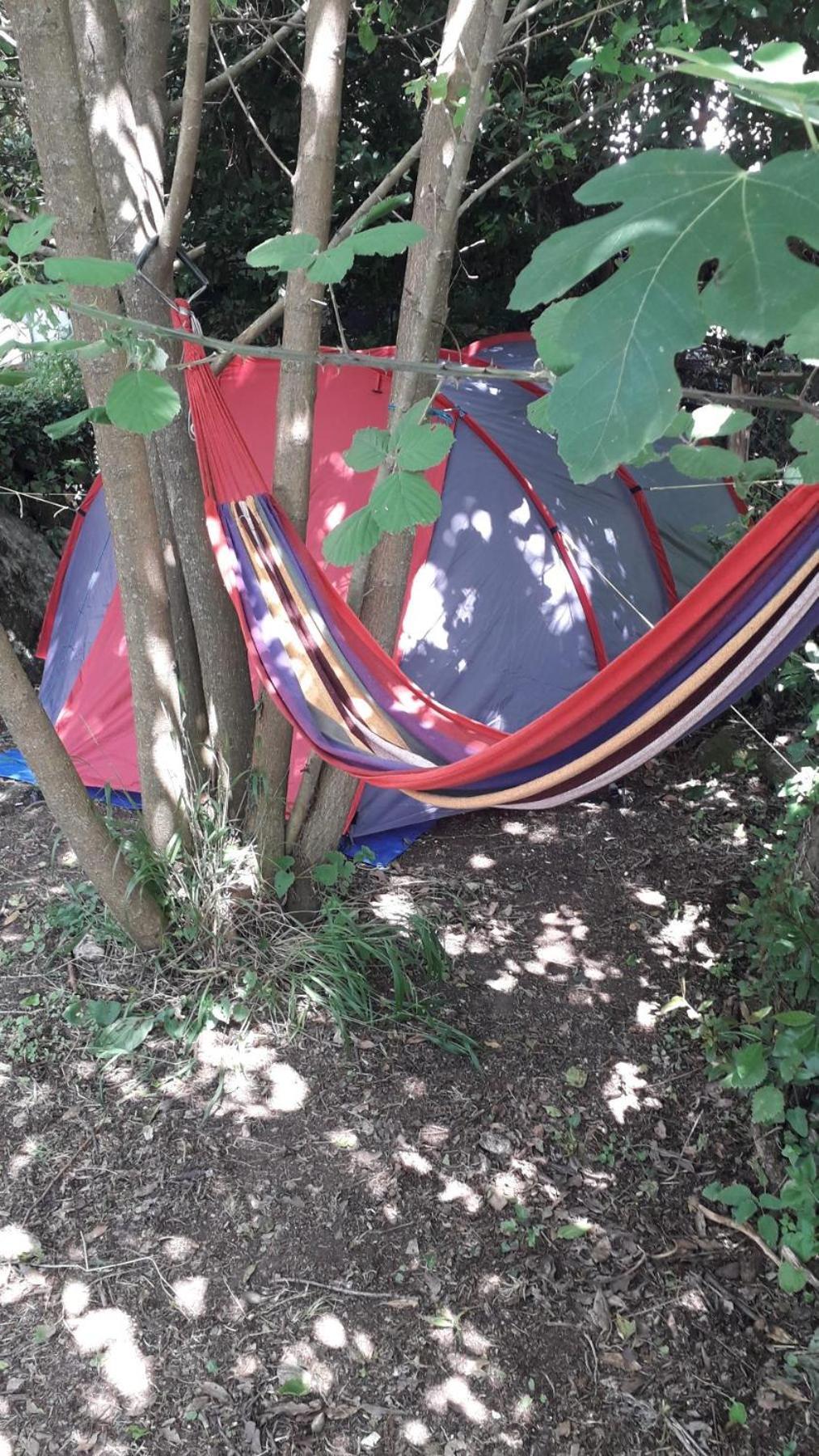 Kamp Seosko Domacinstvo Radman Ξενοδοχείο Χέρτσεγκ Νόβι Εξωτερικό φωτογραφία